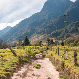 Colombia - History, diversity & adventure