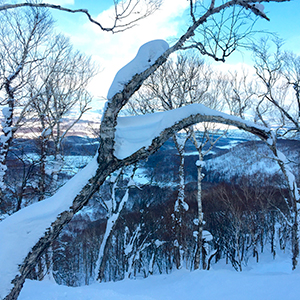 Japan - Settling in for 5 weeks on snow