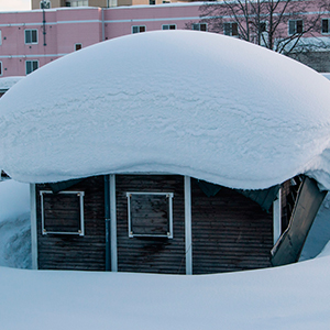 Japan - Farewell to the snow