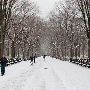 USA - New York City - Snow & Sites