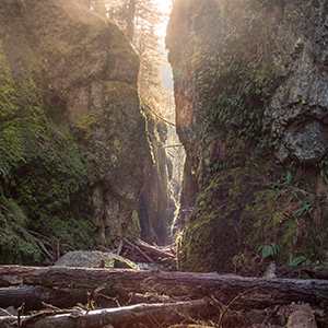 USA - Portland, Oregon - An amazing place